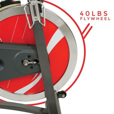 sunny belt bike