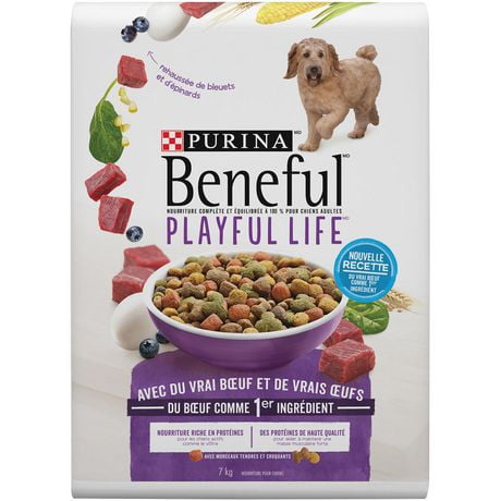 Beneful Dog Food Walmart Canada Beneful Dog Food Walmart Canada
