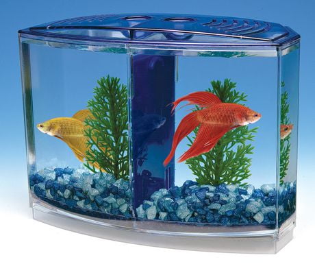 Betta Fish Tank Walmart Canada