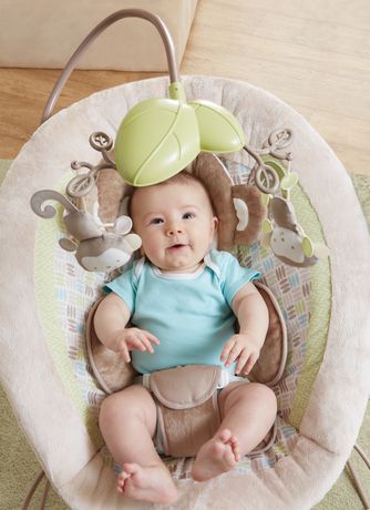 weight limit for fisher price monkey bouncer
