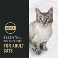 thumbnail image 4 of Purina Pro Plan Complete Essentials Chicken & Rice Formula, Dry Cat Food, 4 of 9