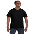 thumbnail image 1 of Hanes Men's Authentic-T T-Shirt, 1 of 1