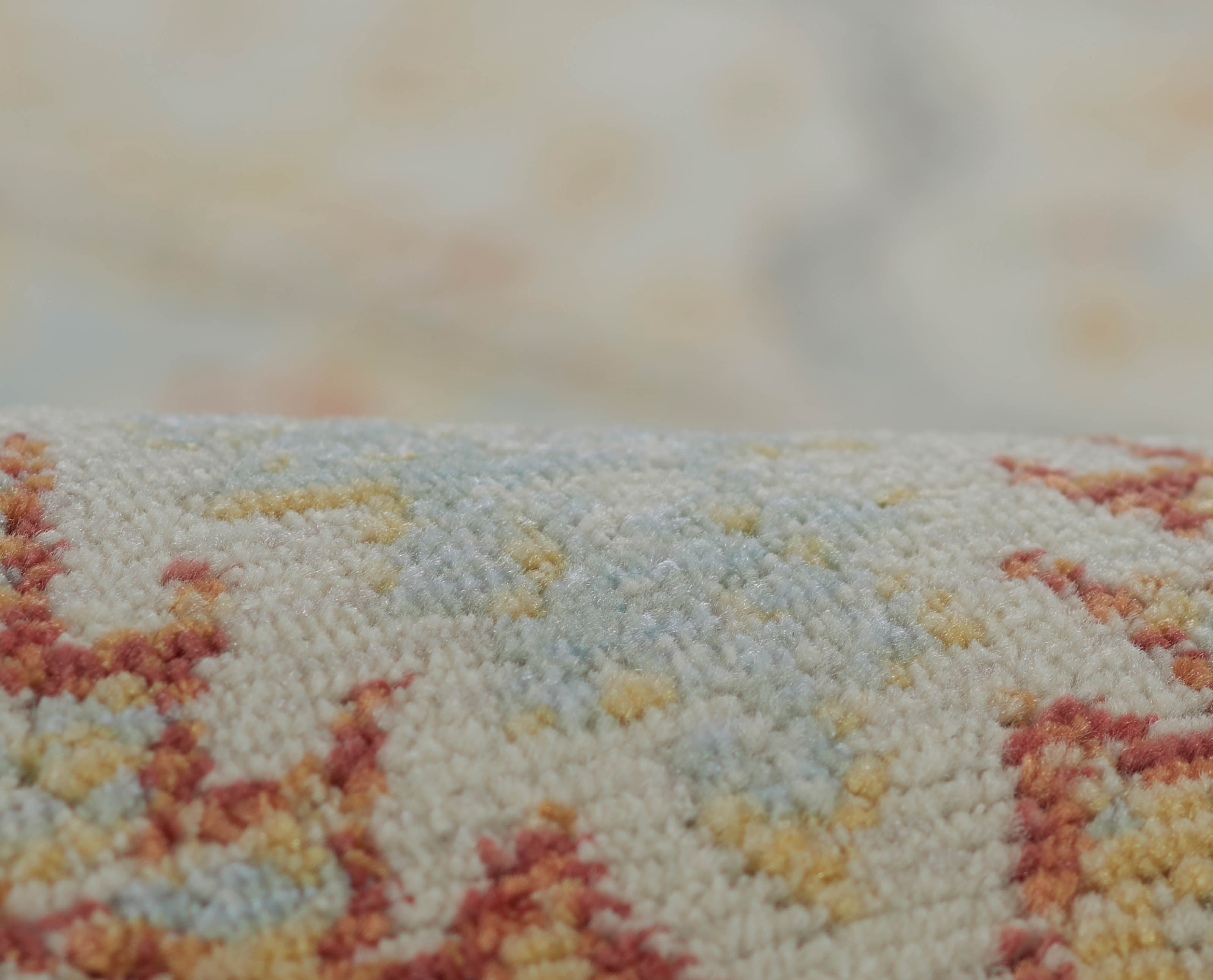 ECARPET Esme Traditional Area Rug for Living Room, Bedroom, Dining Entrance, Hallway and More.