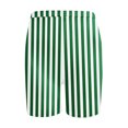 thumbnail image 5 of Plebaso Shorts pour Femmes 2025 Shorts de Plage à Rayures Taille Haute Mode Décontractée Leggings Courts pour Femmes, 5 of 5