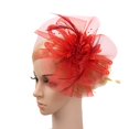 thumbnail image 2 of Kcodviy Women Wedding Mesh Hat Racks for Baseball Caps Closet Fascinator Penny Ribbons and Baseball Caps Bulk Women Feathers Party, 2 of 2