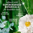 thumbnail image 3 of Shampooing sans sulfate Herbal Essences Cuir chevelu et purification à l’eucalyptus, 400 mL, 3 of 13