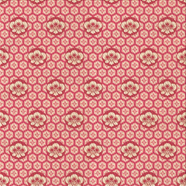 Ahgly Company Tapis d'Intérieur Lavable en Machine Carré Transitionnel Rouge Cramoisi, 5 Pieds Carré