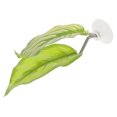 thumbnail image 4 of Betta Fish Leaf Pad Simulating Natural Spawning Leaf Betta Spawning Ground Breeding Resting Leaf, 4 of 8