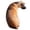 A, variant on Dog Pillow 3D Shiba Inu Pillow 7.9/19.7 Inches Dog Stuffed Animal Throw Plushie Cushion Pillow Doll For Sofa Bed Home Deco Silk Pillowcase Toddler Throw Pillows for Bed Pillowcase 12x18 Pillowcase