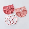 thumbnail image 3 of Girls 3Pc Toddler Kids Cartoon Rainbow Shorts Underwear Clothes, 3 of 3