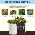 thumbnail image 2 of BeesClover 2 Pcs Raised Garden Beds Outdoor, Outdoor Deep Planter Box Kit with Tool-Free Assembly, Easy Assembly Raised Beds, Durable Planters for Outdoor Plants, 2 of 8