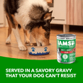 thumbnail image 2 of Iams Proactive Health Chunks in Gravy with Lamb Adult Wet Dog Food, 2 of 13