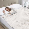 thumbnail image 2 of Beautyrest Plush Weighted Blanket, 2 of 7