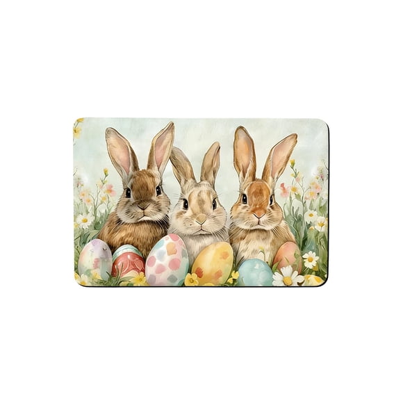 A Easter Door Mat Non Slip Absorbent Dirt Proof Durable Indoor Rug For Entryway Kitchen Bathroom And Home Decoration 15.7X23.6 Inch
