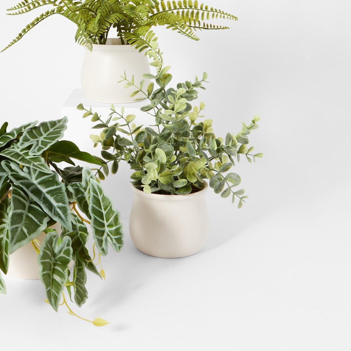 Eucalyptus artificiel Anko en pot