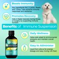 thumbnail image 3 of Welsdom Pets Supplément Liquide de Soutien Immunitaire - 60 ml / Stimulation Immunitaire Complète pour Chats et Chiens / Formule Riche en Antioxydants / Favorise la Digestion et la Récupération / Mélange Vétérinaire Facile à Administrer, 3 of 6