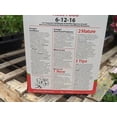 thumbnail image 3 of Evergro Rose Food (6-12-16), 3 of 3