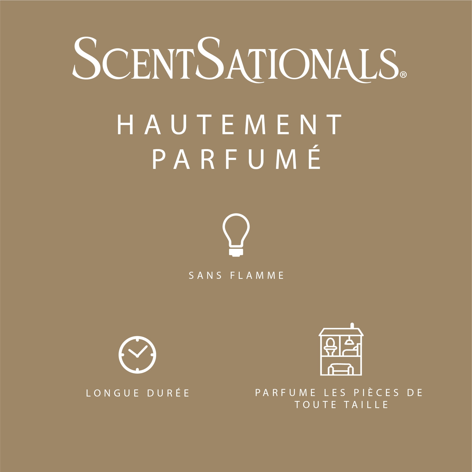 ScentSationals Scented Wax Cubes - Warm White Sands