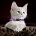 thumbnail image 2 of " Print Cat Collar Breakaway Collar With (Colorful Woven Nylon Pet Neckband)", 2 of 3