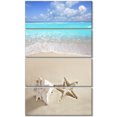 thumbnail image 2 of Caribbean Beach Starfish - Beach Photography Canvas Art Print, 2 of 3