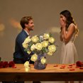 thumbnail image 5 of Cheapark LED Rose Flower String Lights 20 Warm White Lights Valentines Day Decoration USB Powered For Bedroom Party, 5 of 5