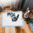 thumbnail image 2 of Hearth & Gear Revolutionize With Dog Thickened Odor Proof Pee Pad – Superior Odor Control For A Cleaner Home!, 2 of 4