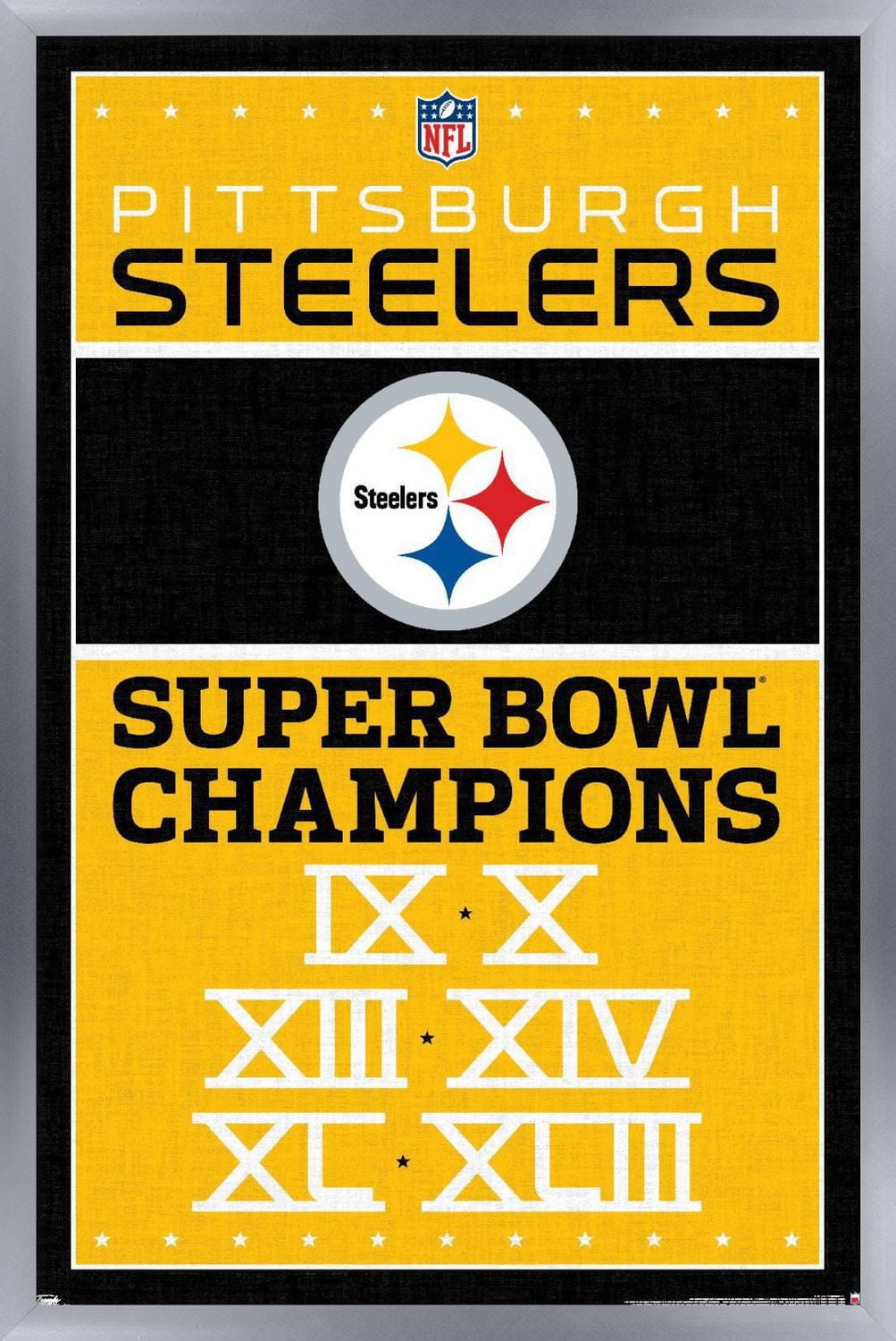 NFL Pittsburgh Steelers - Champions 13