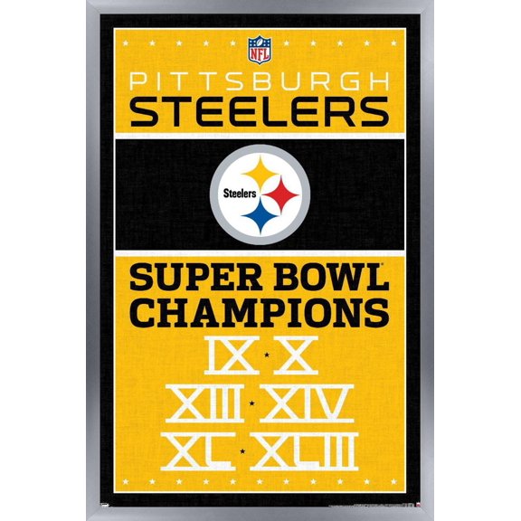 NFL Pittsburgh Steelers - Champions 13