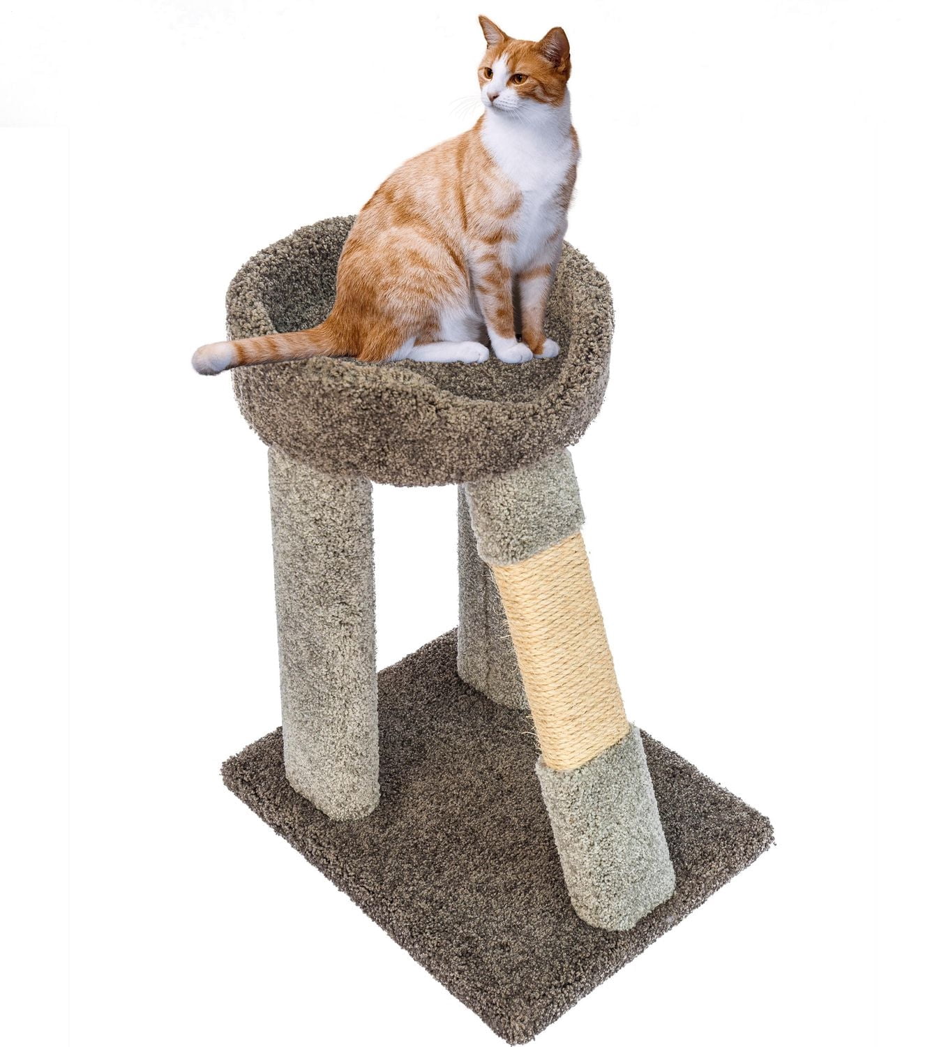 Wonder Scratch Perch