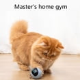 thumbnail image 3 of Liquidation Finale! Jouet Intelligent pour Chat Chats Interactif Balles Automatiques Roue Exerciseur pour Chats d'Intérieur Recharge USB Articles pour Chat Jouets à Lumière DEL Colorés, 3 of 6
