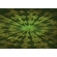 thumbnail image 1 of Ahgly Tapis Rectangulaire Lavable en Machine Intérieur Transitionnel Vert Forêt Foncé, 3 Pieds x 5 Pieds, 1 of 7