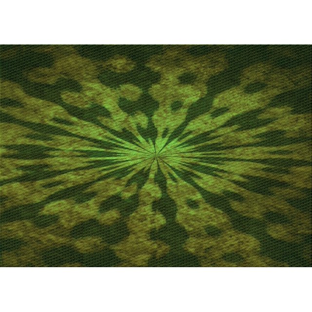 Ahgly Tapis Rectangulaire Lavable en Machine Intérieur Transitionnel Vert Forêt Foncé, 3 Pieds x 5 Pieds