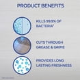 thumbnail image 4 of Lysol Multi Surface Cleaner Brand 1.2L, 4 of 5