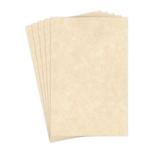 Papier parchemin de papeterie naturelle 24 Lb Obligations / 60 Lb Texte / 90 Papier Gsm 50 Feuilles par emballage 11 X 17 Pouces