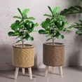 thumbnail image 1 of SSZMDLB 2Pcs Rattan Flower Pot, Flower Pot, Indoor Desktop Flowerpot, Woven Pot Potted Container, Triangular Support Flower Stand, Home Office Decor Planter for Succulents, Plants, 1 of 9