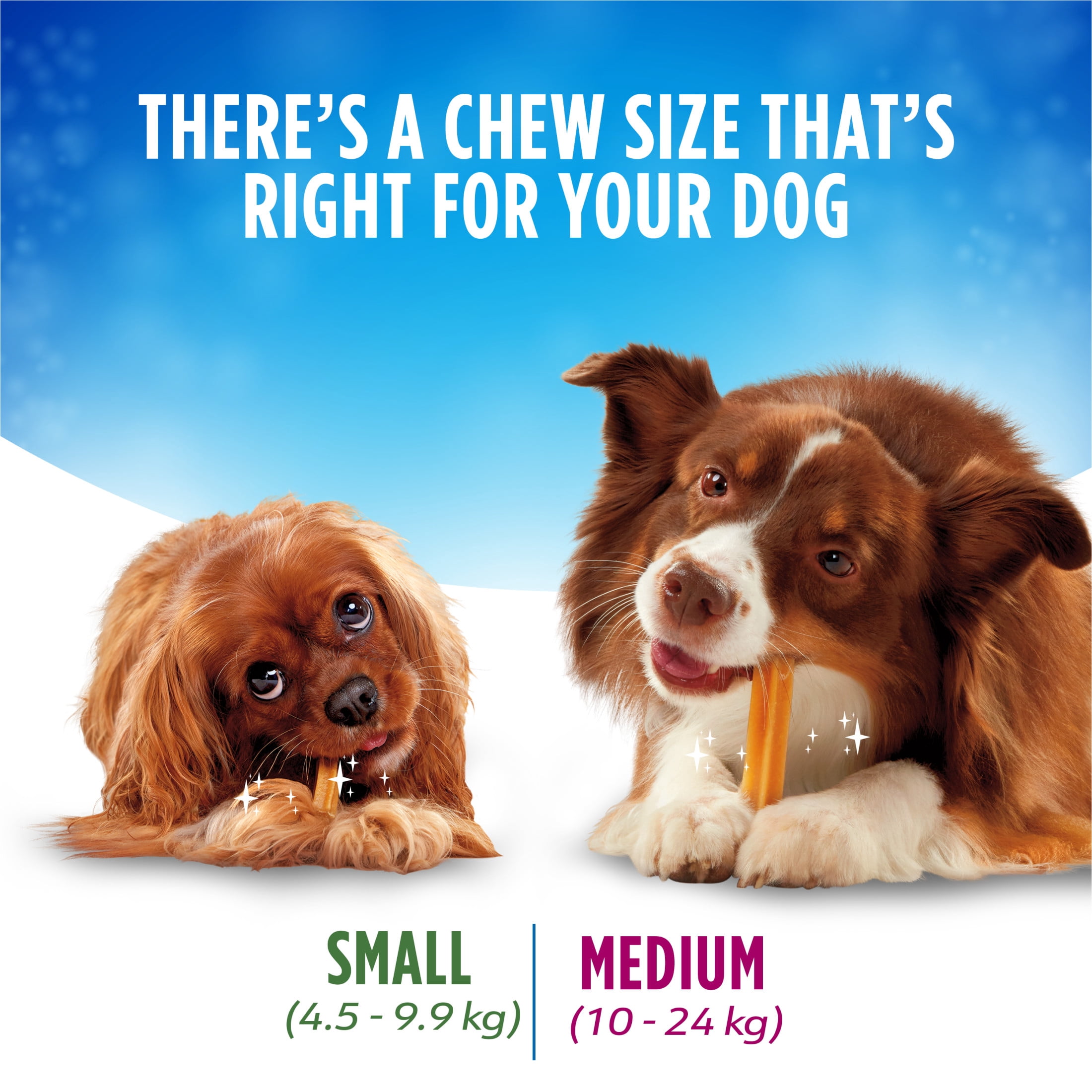 DentaLife Chews Gâteries Pour Petits Chiens Pour les Soins Buccodentaires Quotidiens