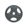 thumbnail image 2 of Disque de musculation avec prises GoZone – Argent, 2 of 3