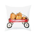 thumbnail image 1 of Fridja Housses de Coussin d'Halloween 18 x 18 Pouces Rétro Citrouille d'Halloween Graphique Housse de Coussin Décorative Colorée Rustique d'Halloween pour Décoration de Maison, Canapé, Sofa pour les Fêtes, 1 of 1