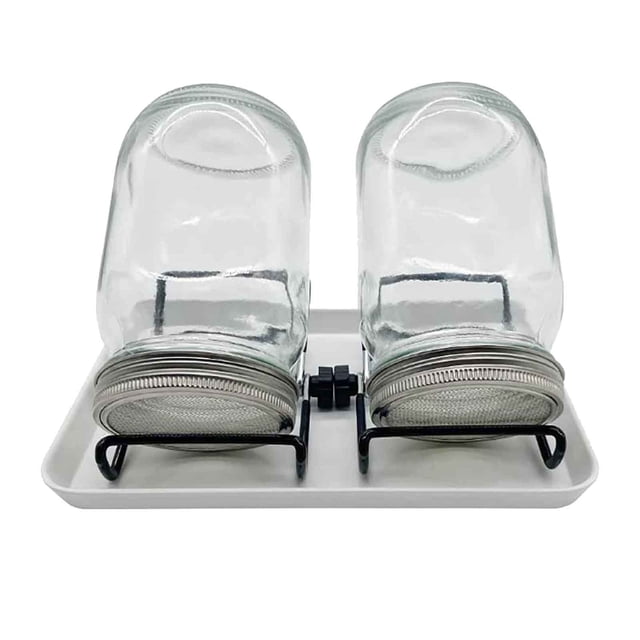Sprouting Jar Kit, Wide Mouth Sprouting Lids with Stainless Steel Mesh, 32 Oz Germination Set with Stand and Tray, Complete Seed Sprouter for Home Kitchen Countertop