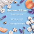 thumbnail image 4 of LITTLE TREES air freshener Summer Linen 3-Pack, 4 of 10