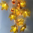 thumbnail image 2 of Halloween Maple Leaf Light String LED Lighted Garden Yard Fence Pumpkin Garland for Home Halloween Decoration Type 6, 2 of 9