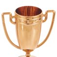 thumbnail image 2 of EeaseCA 8 Pcs Mini Prix Trophées Prix Trophée Tasses Trophées Or Enfants Récompenses Scolaires, 2 of 7