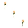 thumbnail image 1 of Baohd 1/2/3/5 10pack/lot Realistic Appearance Artificial Flower For Party Decor And Home Decor Champagn 3PCS, 1 of 6