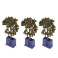 thumbnail image 3 of Miniature Dollhouse Plants, Durable Fruit Tree Model Rich Color Long Service Life Resin  For Dollhouse Decoration, 3 of 8
