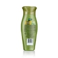 thumbnail image 2 of Dabur Vatika Shampoo Henna, 2 of 2