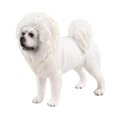 thumbnail image 1 of Abbracc Figurines d'Animaux Réalistes Ornement Miniature Réaliste pour Fêtes Mastiff Tibétain, 1 of 9