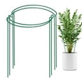 thumbnail image 2 of Hi,Fancy Garden Support Stake 40*25cm Metal Half Round Rose Plant Cage 2Pcs, 2 of 8