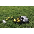 thumbnail image 3 of Tour Mission Practice Balls Combo Kit, 3 of 4