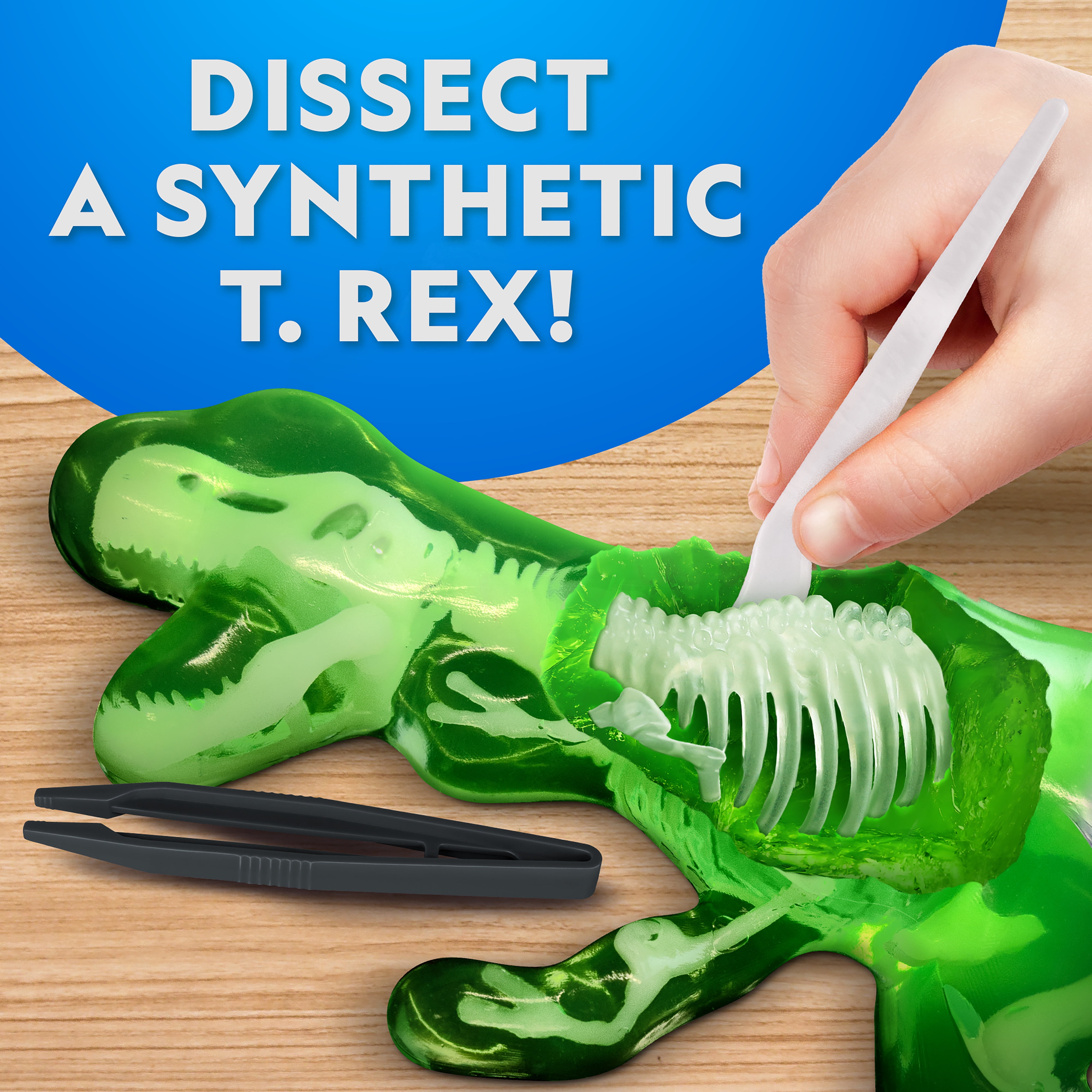 National Geographic Laboratoire de dissection phosphorescent – T-Rex (avec recharge) 6 ans et plus