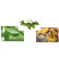 thumbnail image 3 of G1 Hergen Intense Nourishing Shampoo (400ml), 3 of 4